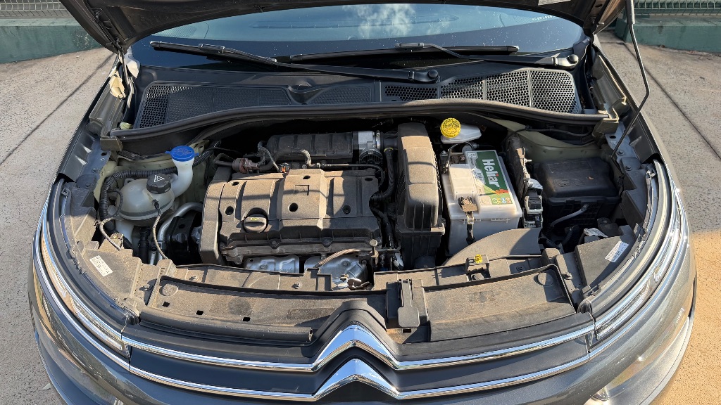 C4 CACTUS FEEL