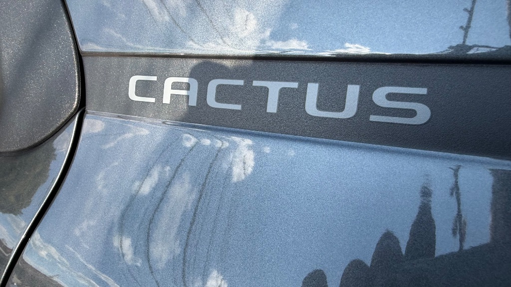 C4 CACTUS FEEL