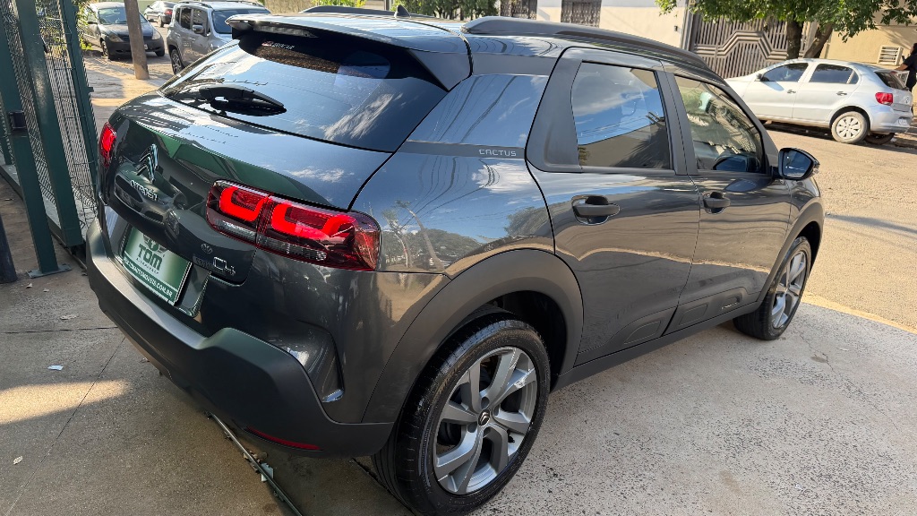 C4 CACTUS FEEL