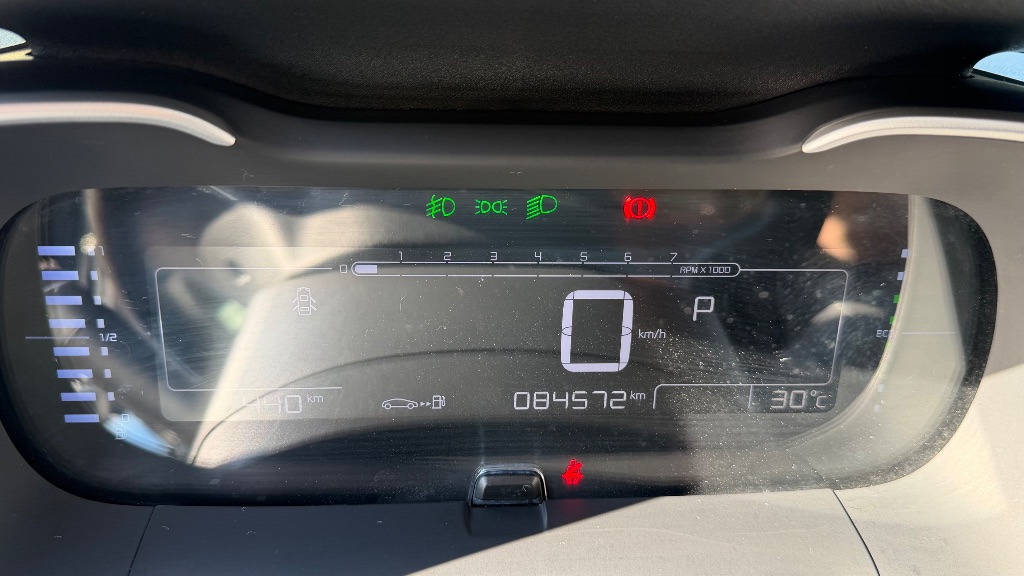 C4 CACTUS FEEL