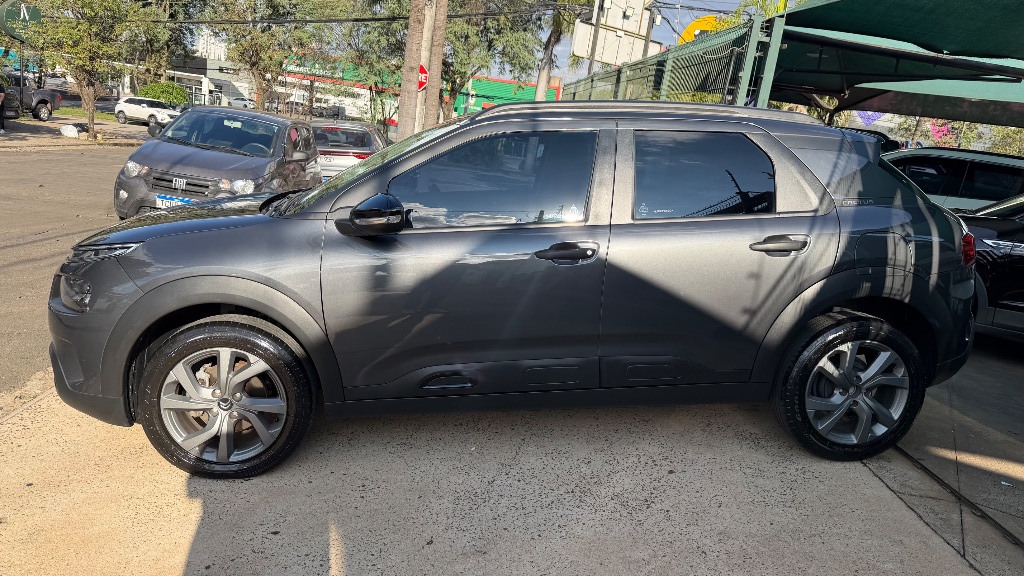 C4 CACTUS FEEL