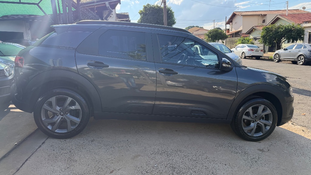 C4 CACTUS FEEL