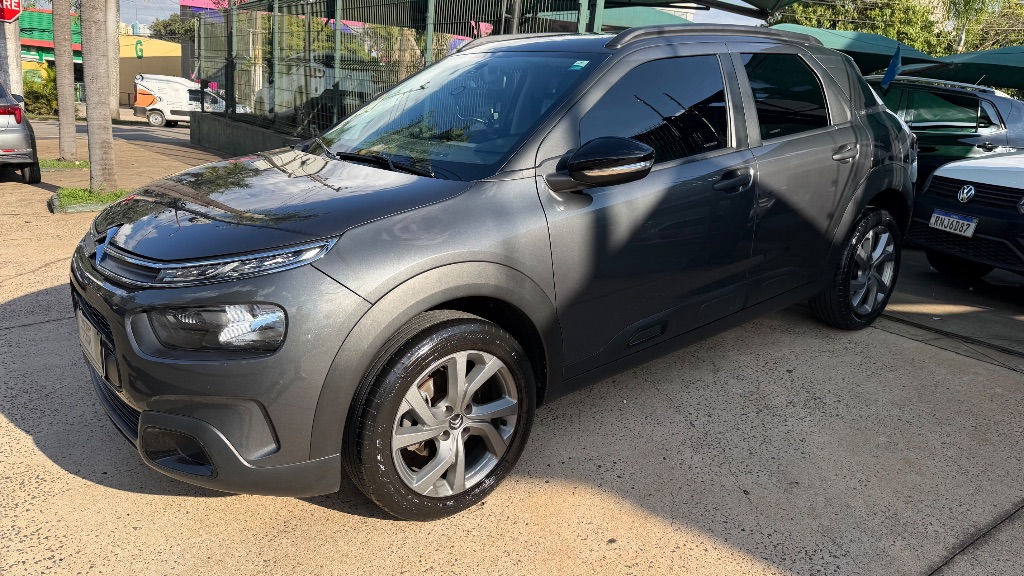 C4 CACTUS FEEL