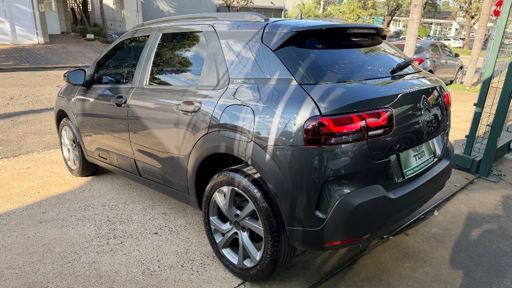 C4 CACTUS FEEL